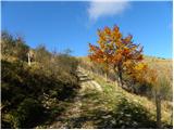 Hunting cottage (Davča) - Dom na Poreznu